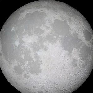 Meet your Posher, Shawnee